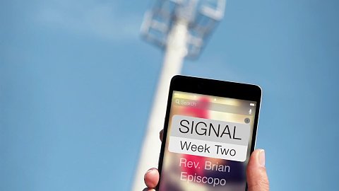 Signal: Week 2